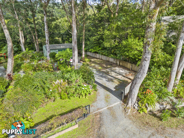 3 Boy-ull Road SPRINGBROOK QLD 4213