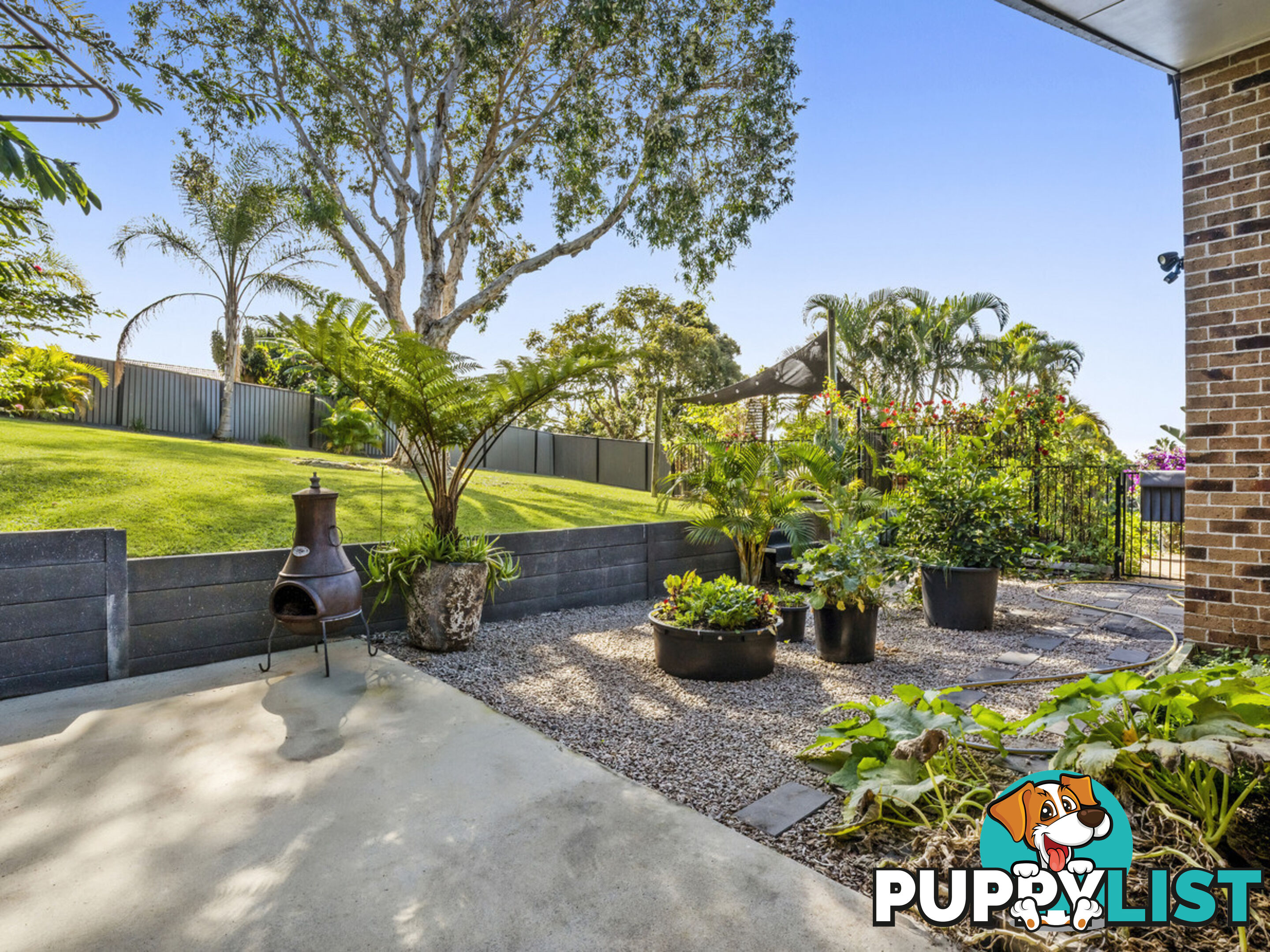 31 California Drive OXENFORD QLD 4210