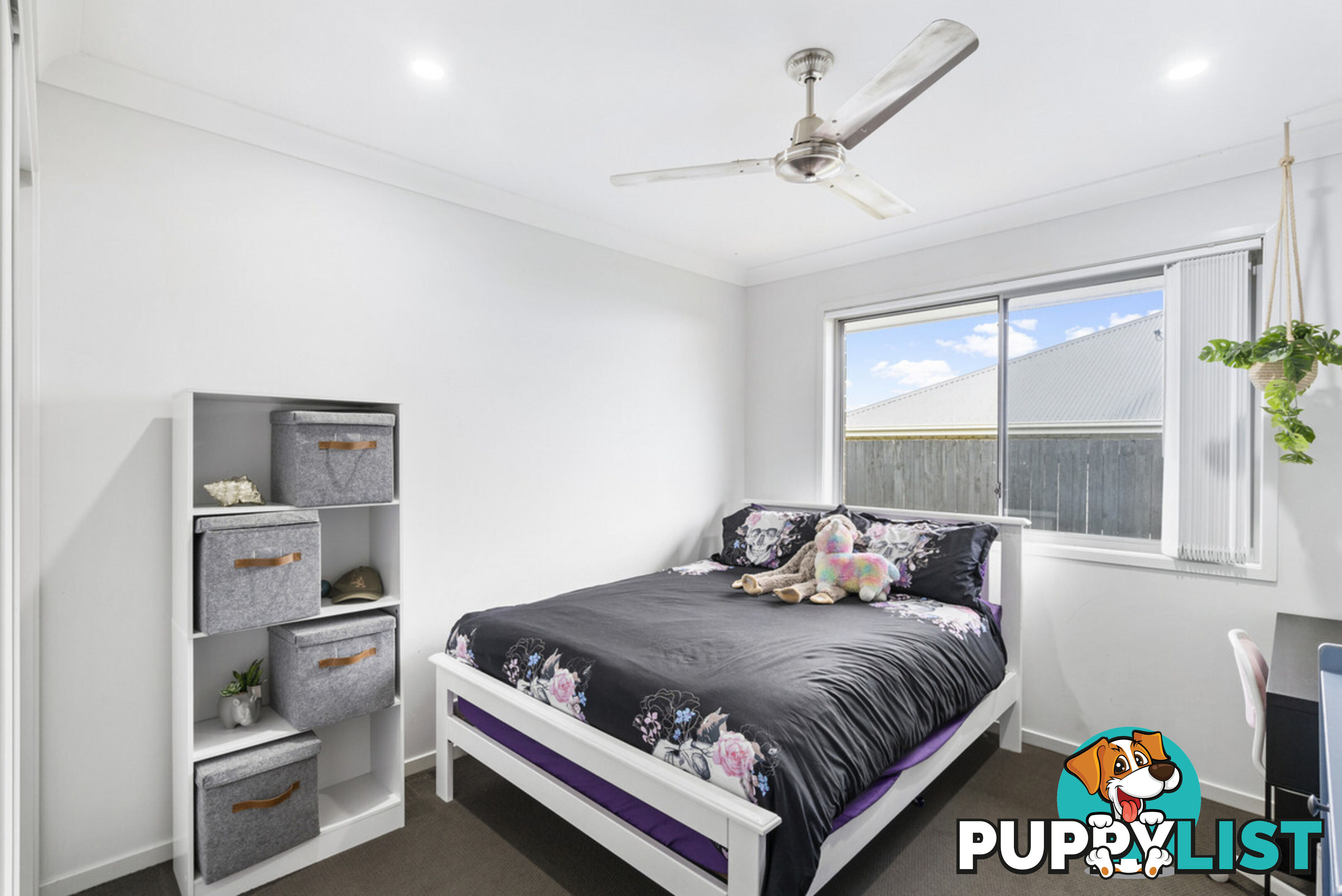 35 Copeland Street PIMPAMA QLD 4209