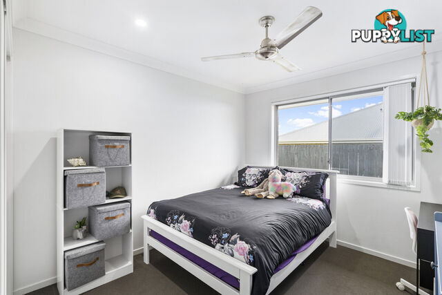 35 Copeland Street PIMPAMA QLD 4209