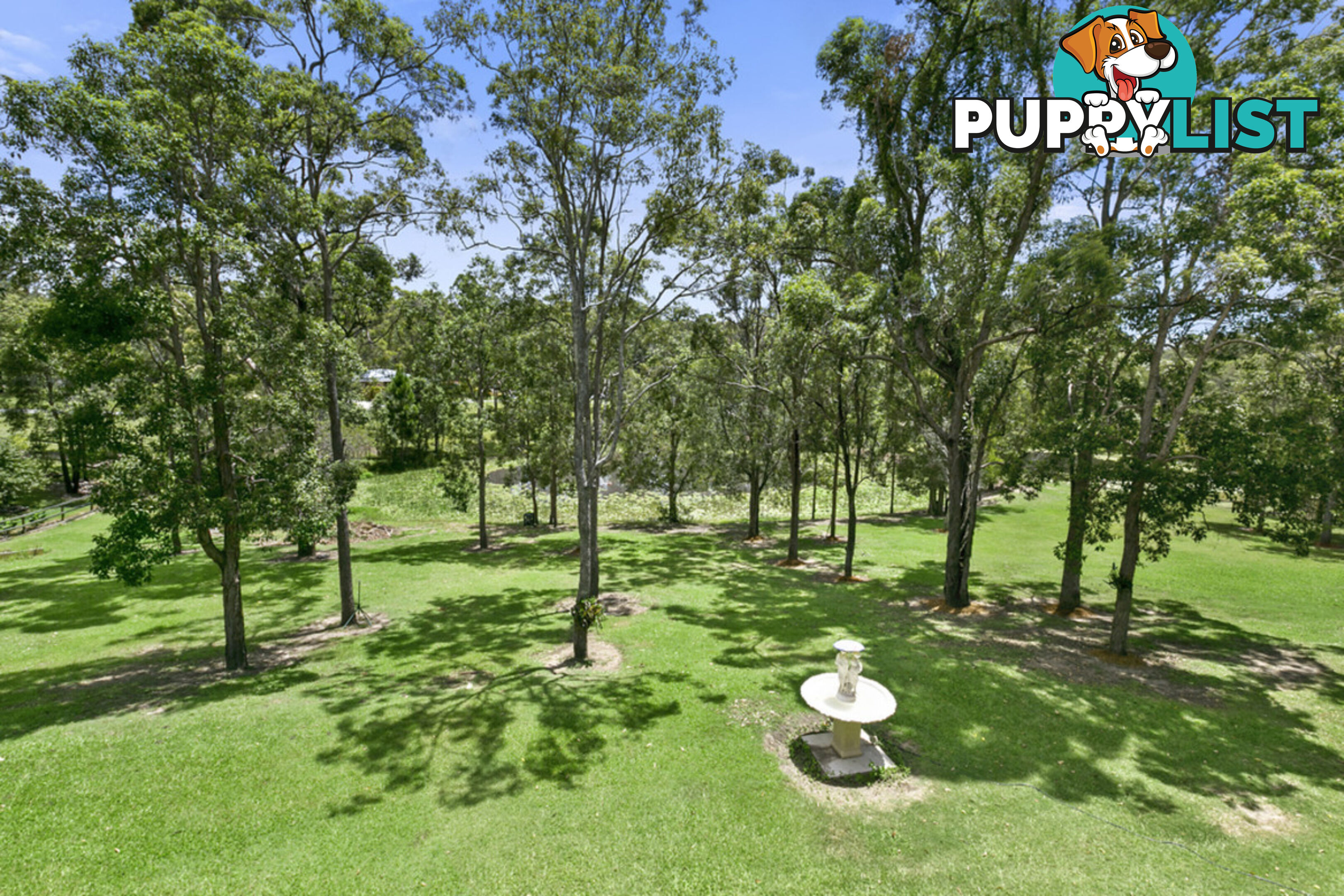 52 Nerang Murwillumbah Road MOUNT NATHAN QLD 4211