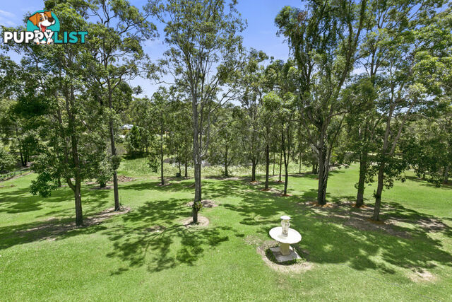 52 Nerang Murwillumbah Road MOUNT NATHAN QLD 4211