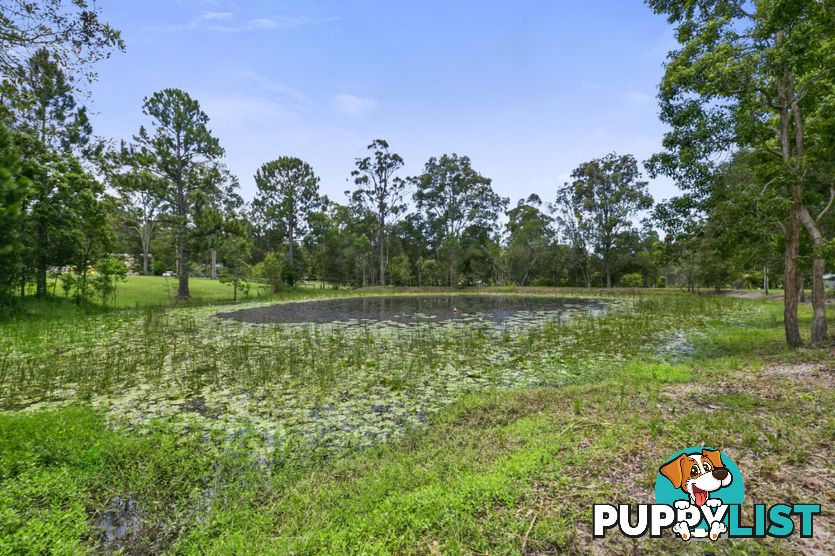 52 Nerang Murwillumbah Road MOUNT NATHAN QLD 4211