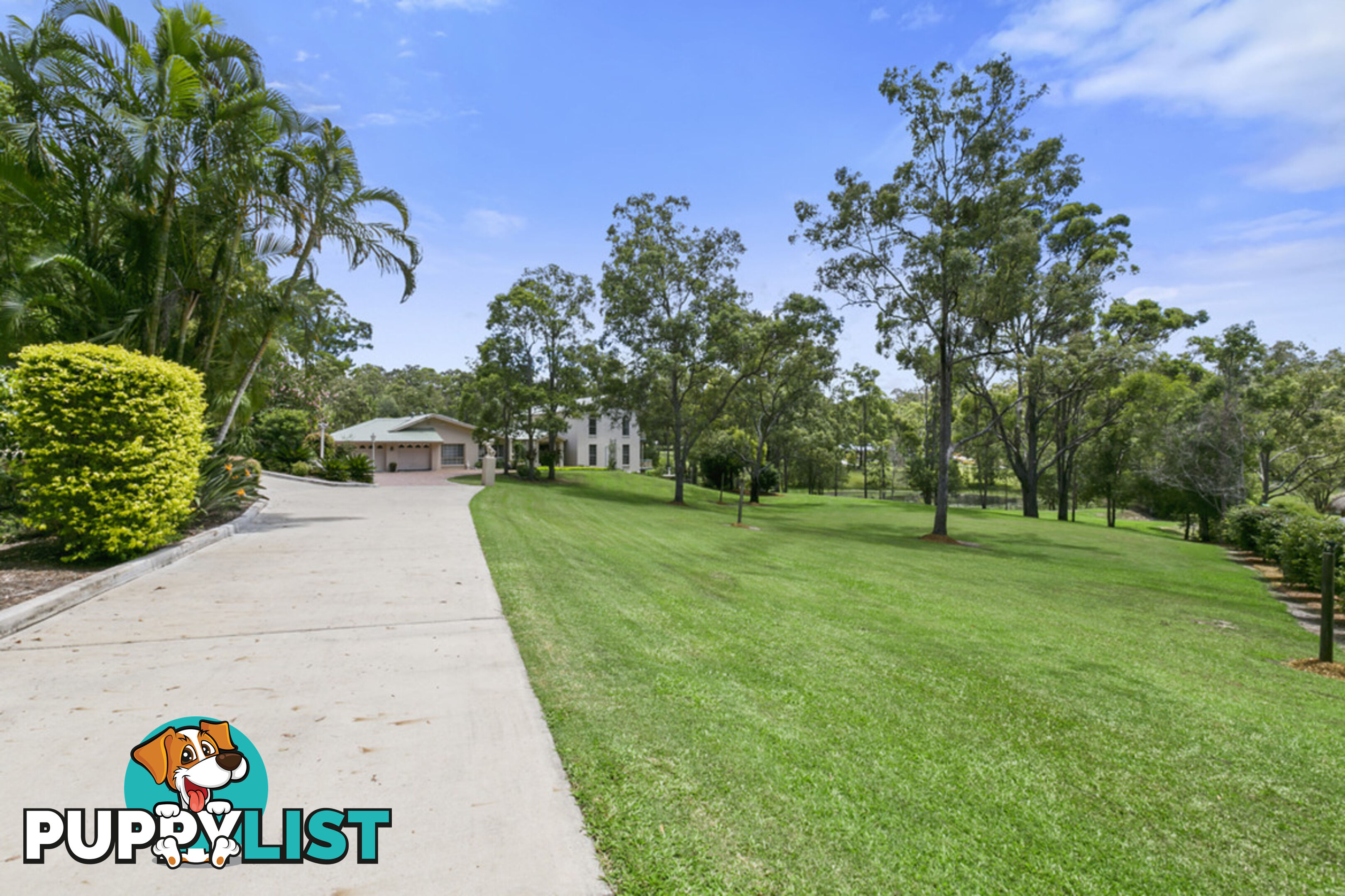 52 Nerang Murwillumbah Road MOUNT NATHAN QLD 4211