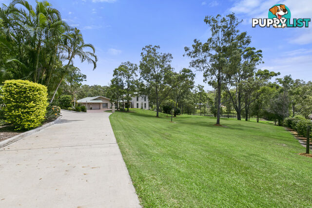 52 Nerang Murwillumbah Road MOUNT NATHAN QLD 4211