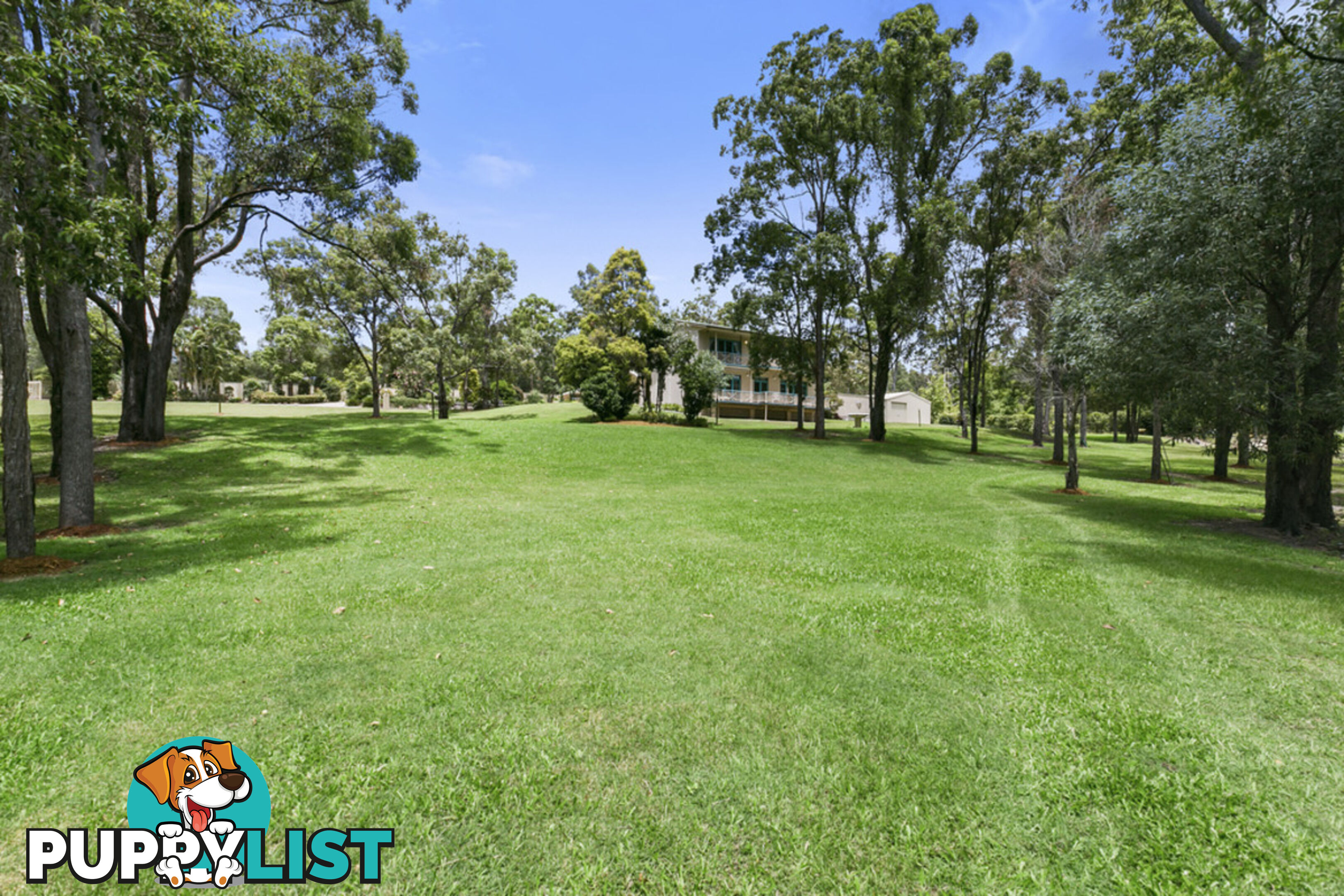 52 Nerang Murwillumbah Road MOUNT NATHAN QLD 4211