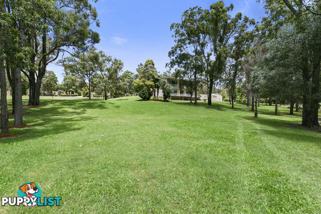 52 Nerang Murwillumbah Road MOUNT NATHAN QLD 4211