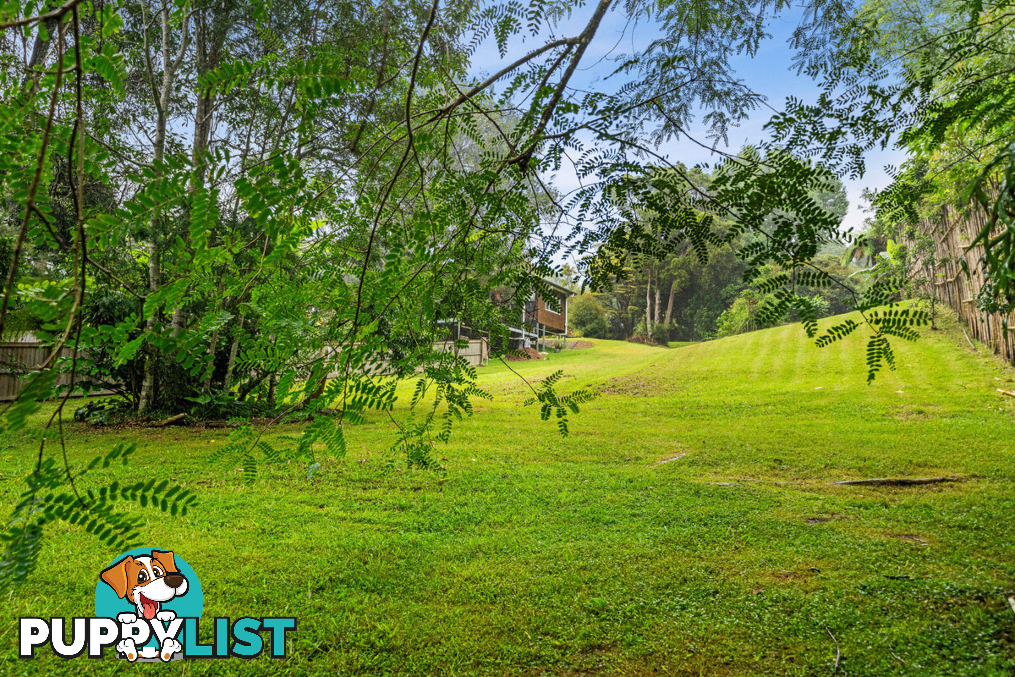 35 Lloyds Road SPRINGBROOK QLD 4213