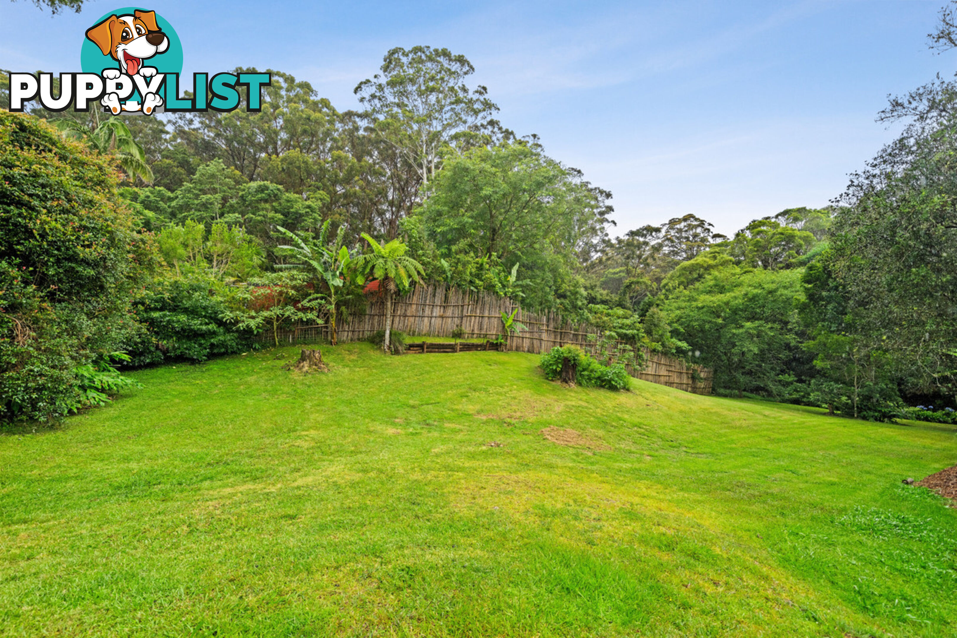 35 Lloyds Road SPRINGBROOK QLD 4213