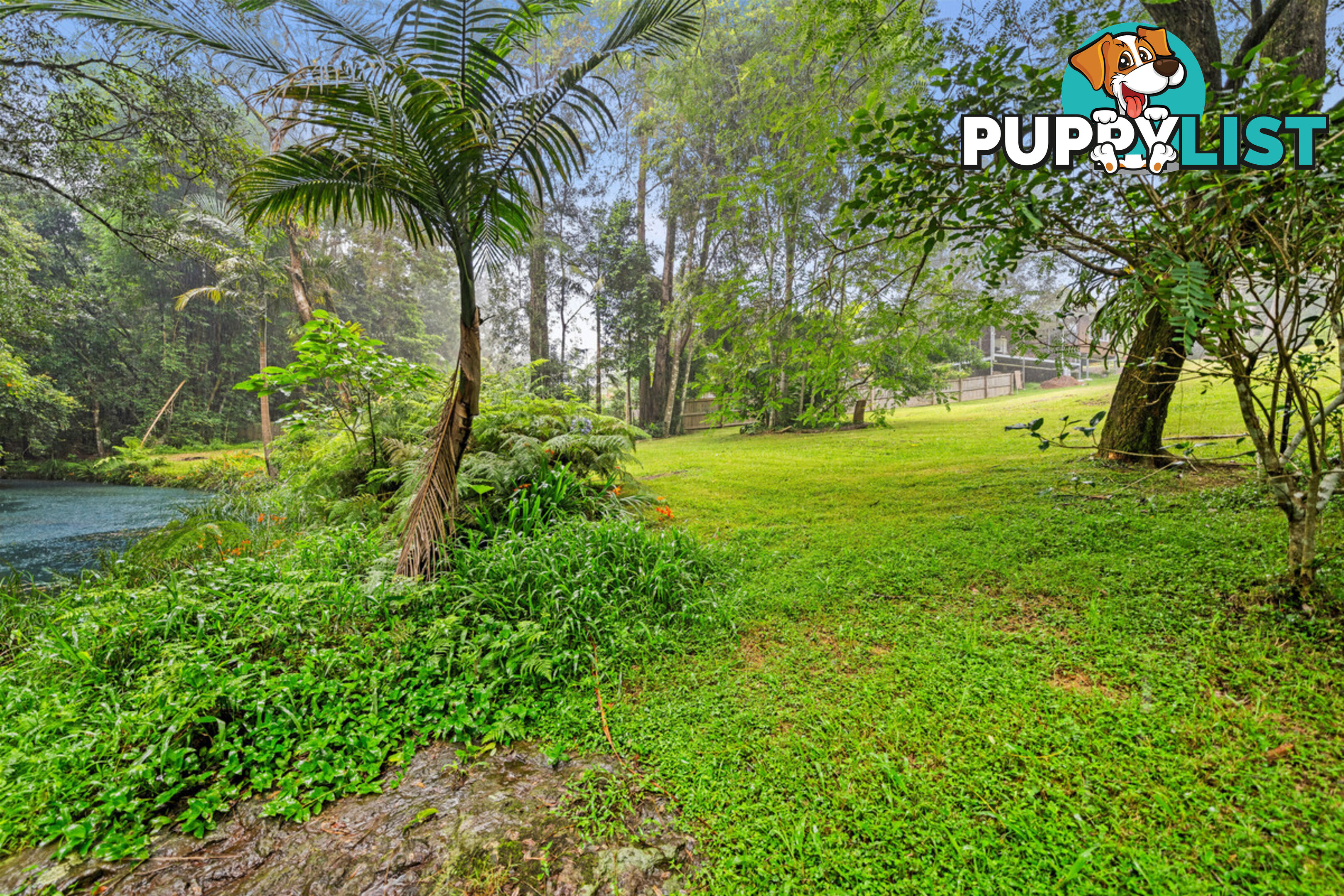 35 Lloyds Road SPRINGBROOK QLD 4213