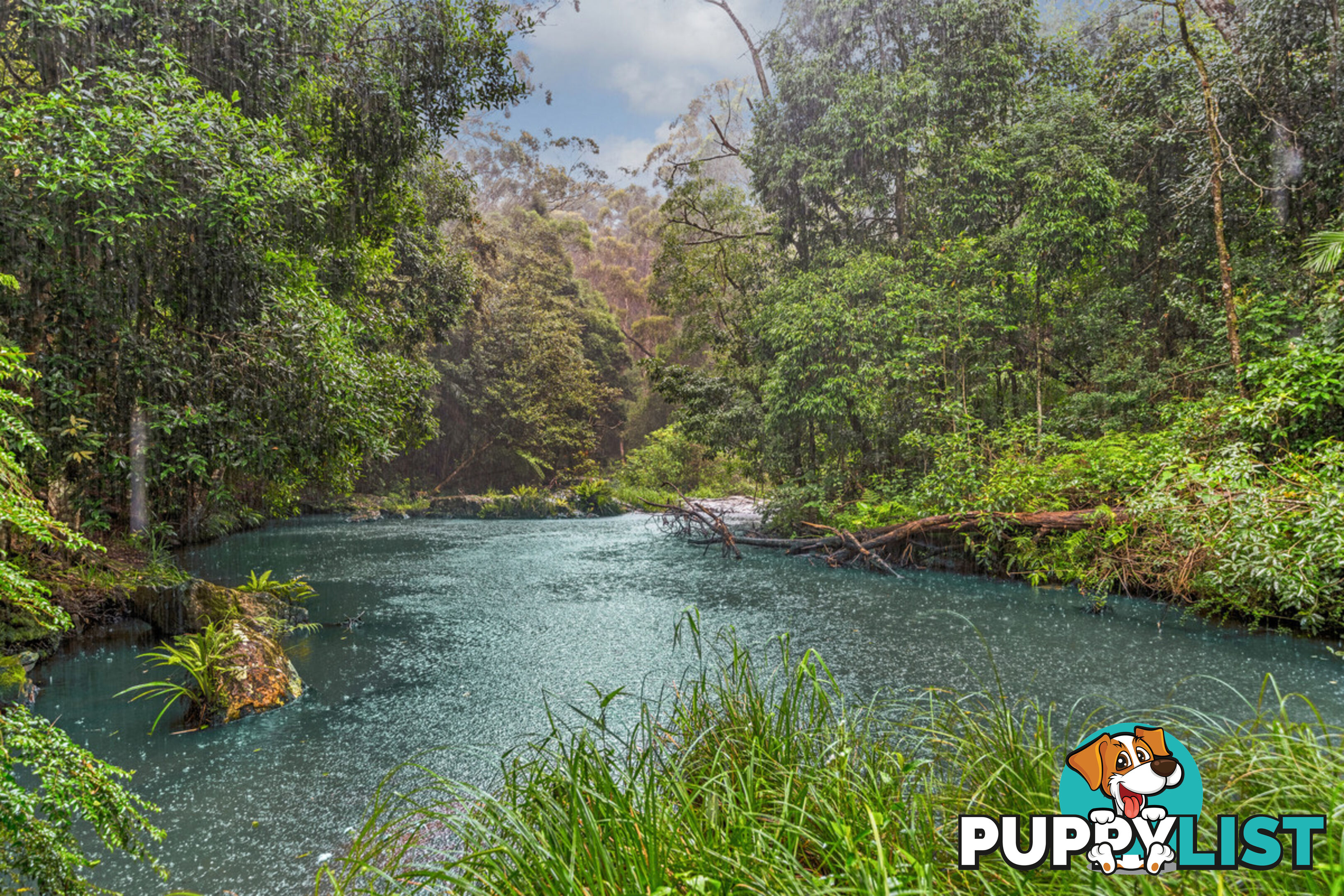 35 Lloyds Road SPRINGBROOK QLD 4213