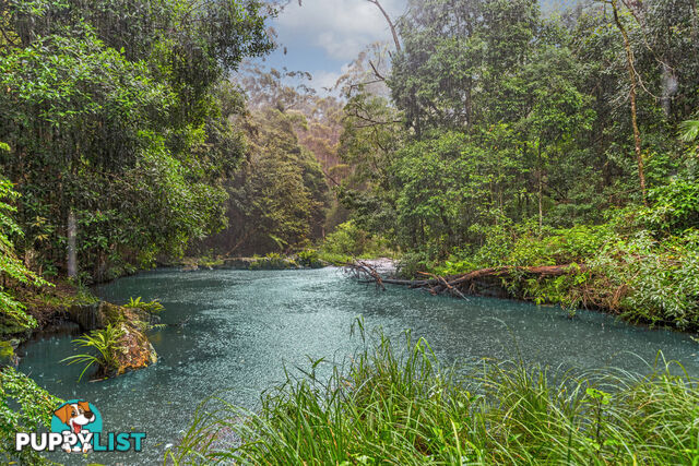 35 Lloyds Road SPRINGBROOK QLD 4213