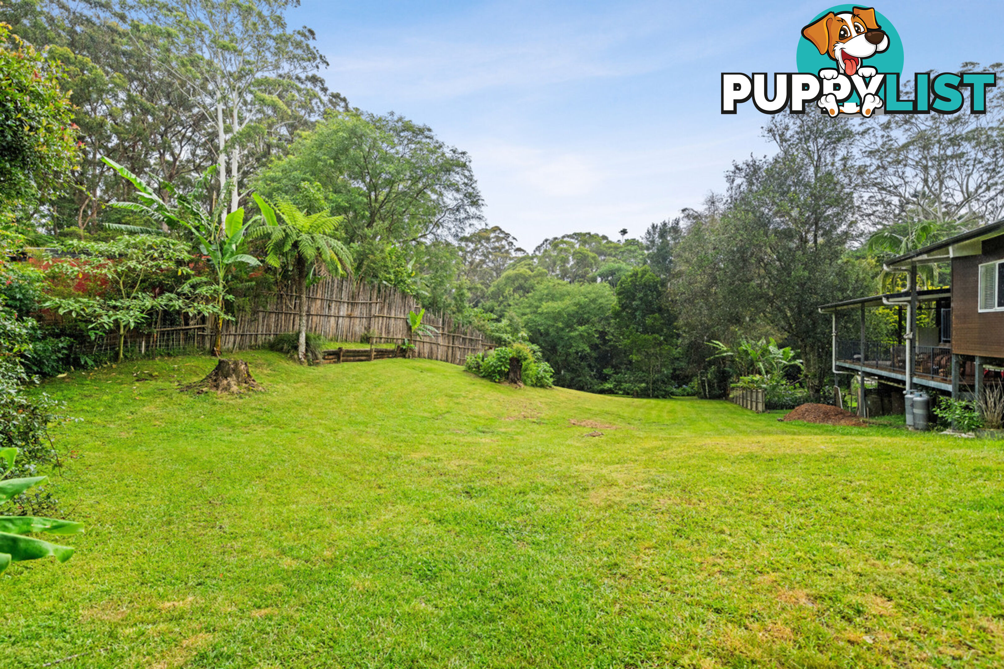 35 Lloyds Road SPRINGBROOK QLD 4213