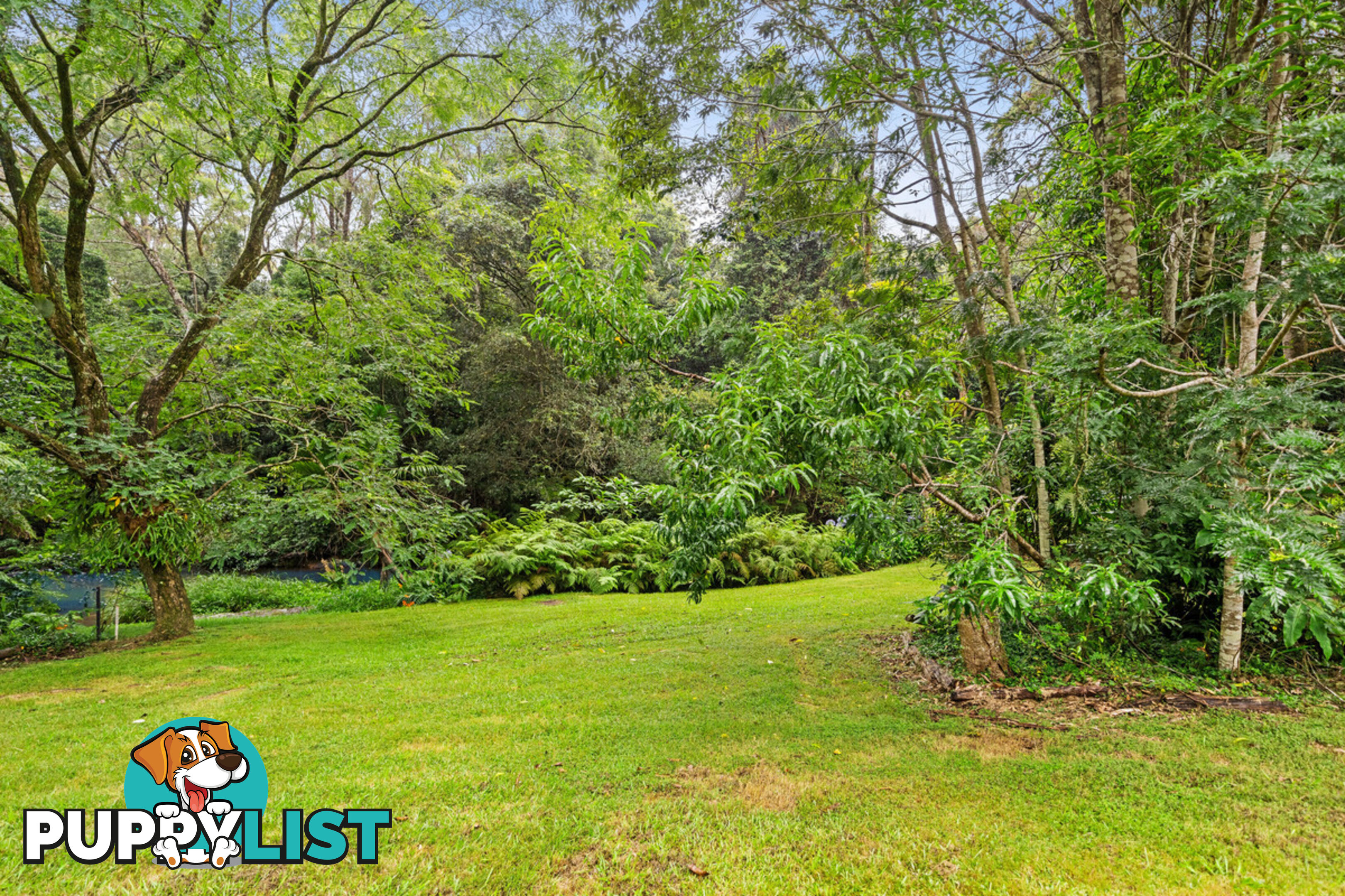 35 Lloyds Road SPRINGBROOK QLD 4213