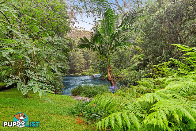 35 Lloyds Road SPRINGBROOK QLD 4213