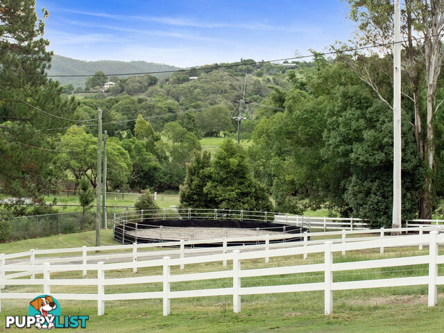 169 Hotham Creek Road WILLOW VALE QLD 4209