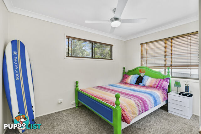 11 Eureka Crescent NERANG QLD 4211