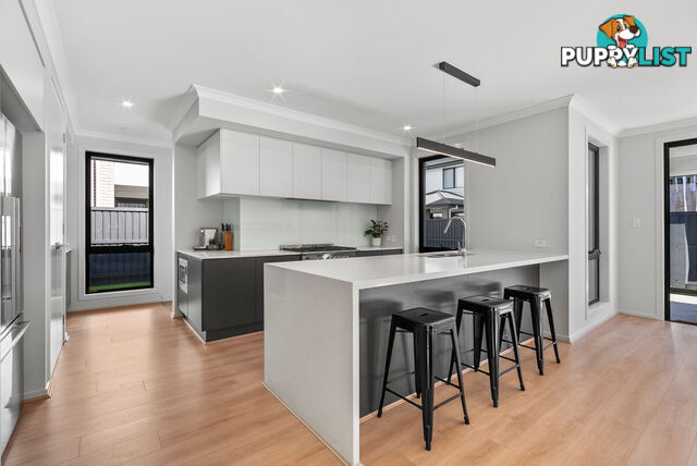 12 Headway Street NERANG QLD 4211