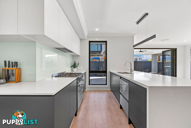 12 Headway Street NERANG QLD 4211