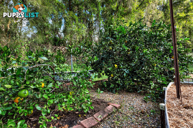 15 Haddon Court CARRARA QLD 4211