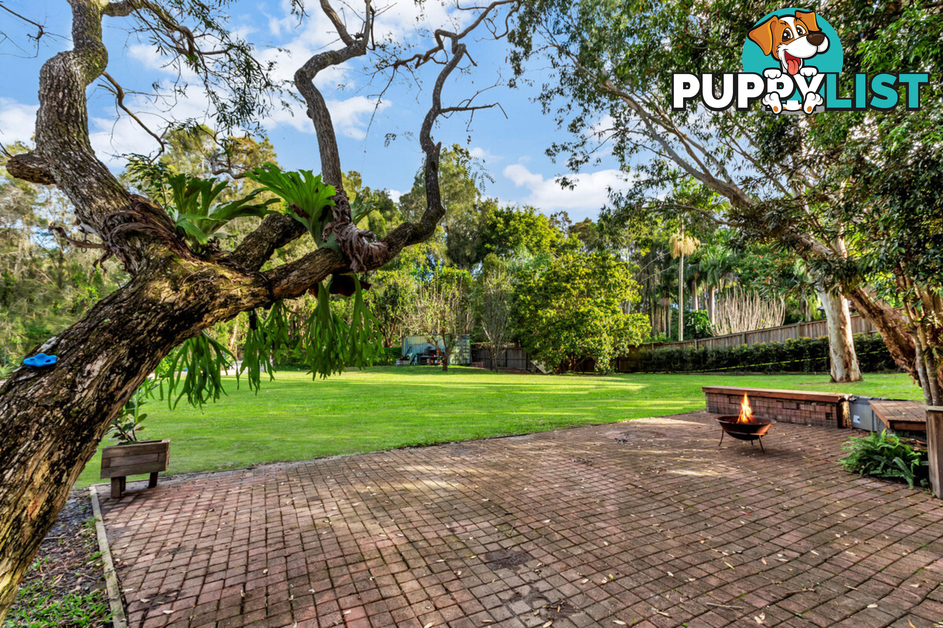 15 Haddon Court CARRARA QLD 4211