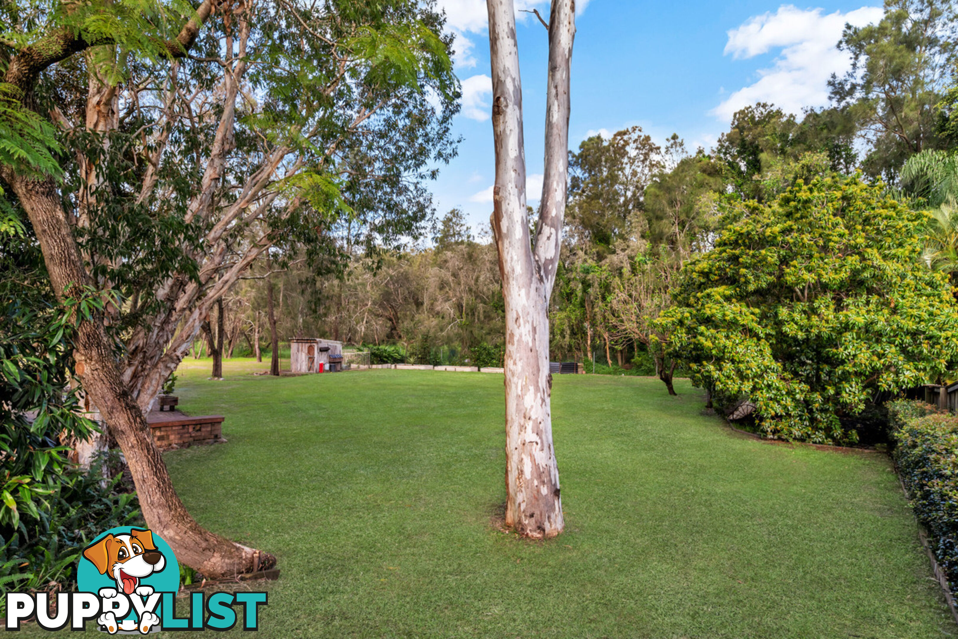 15 Haddon Court CARRARA QLD 4211