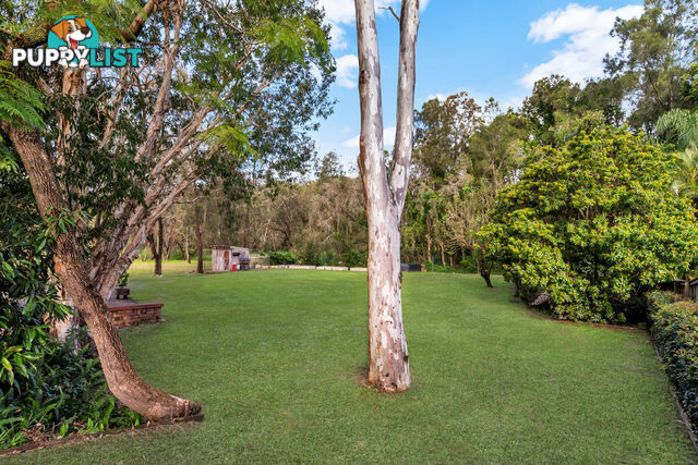15 Haddon Court CARRARA QLD 4211