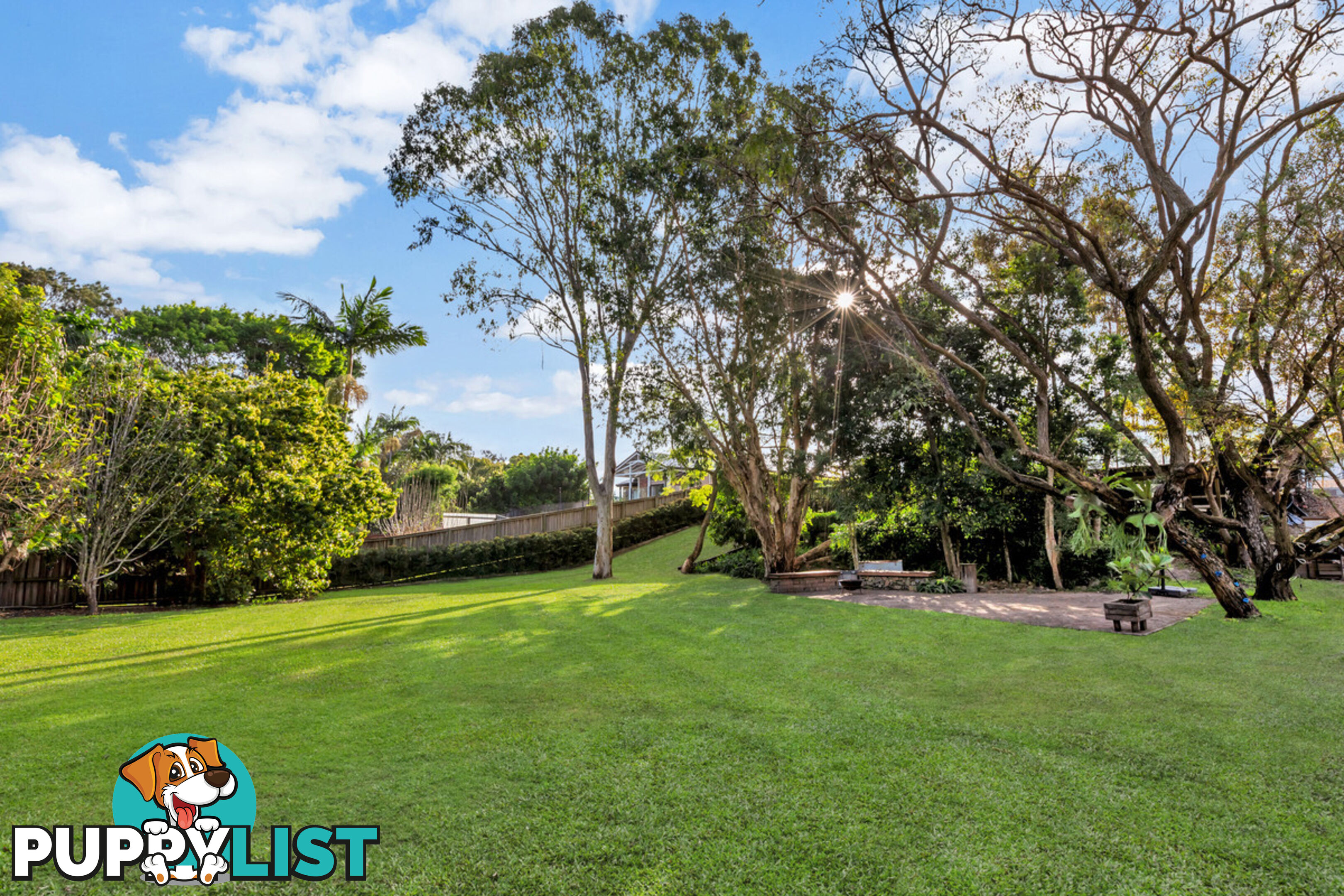 15 Haddon Court CARRARA QLD 4211