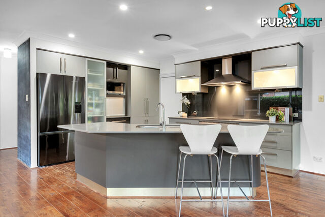 15 Haddon Court CARRARA QLD 4211