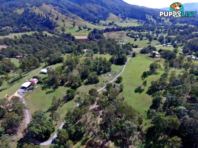 211 Lamington National Park Road CANUNGRA QLD 4275