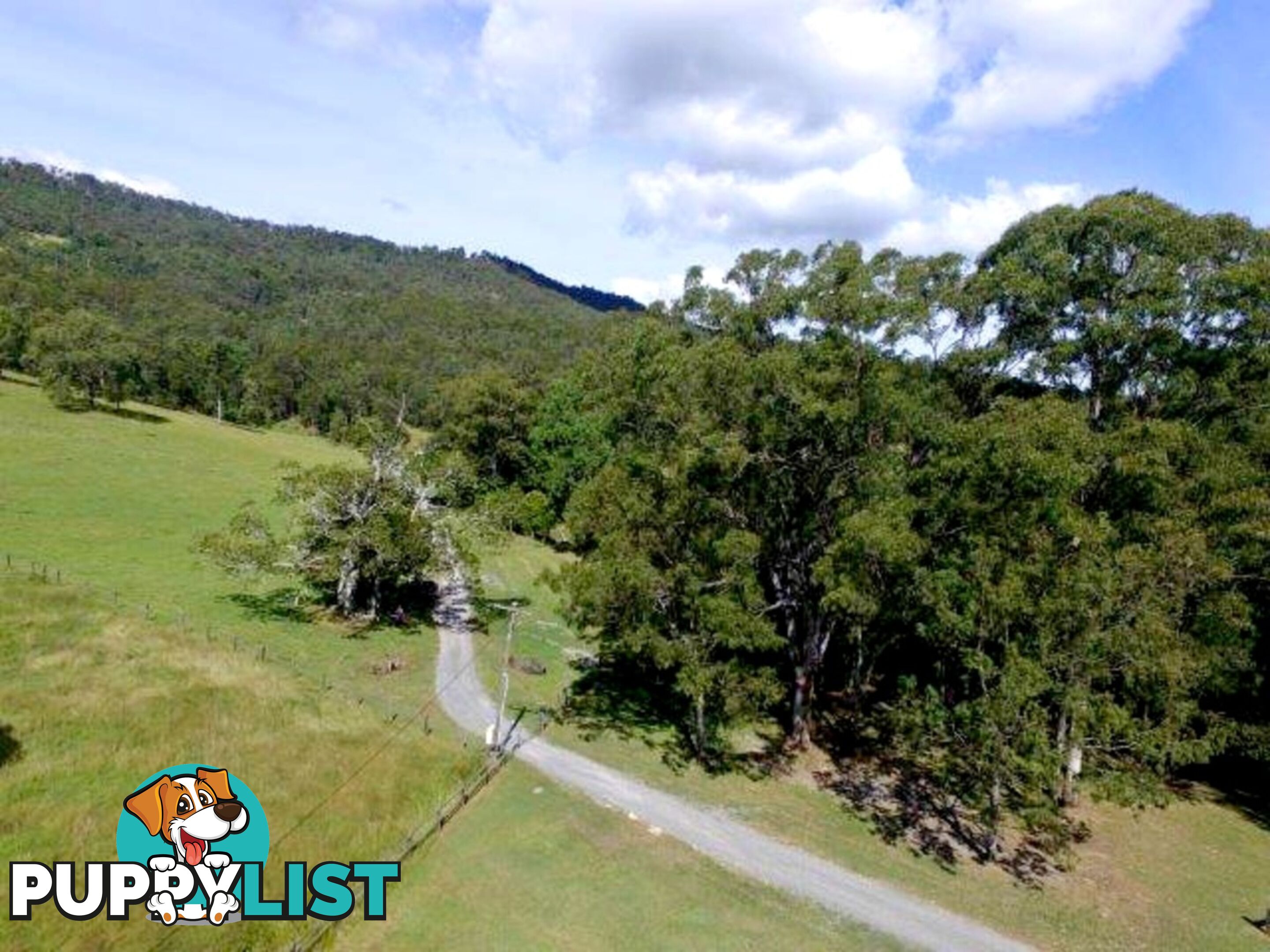 211 Lamington National Park Road CANUNGRA QLD 4275