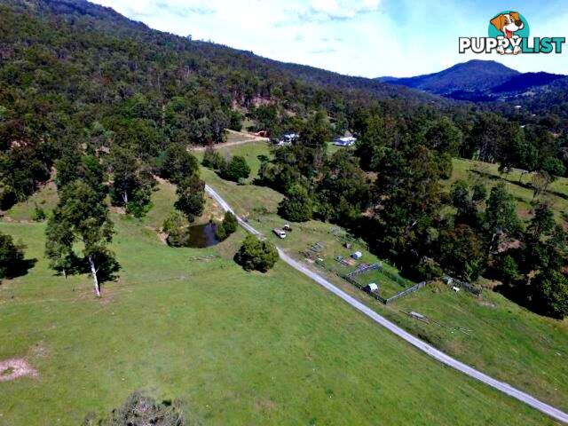 211 Lamington National Park Road CANUNGRA QLD 4275