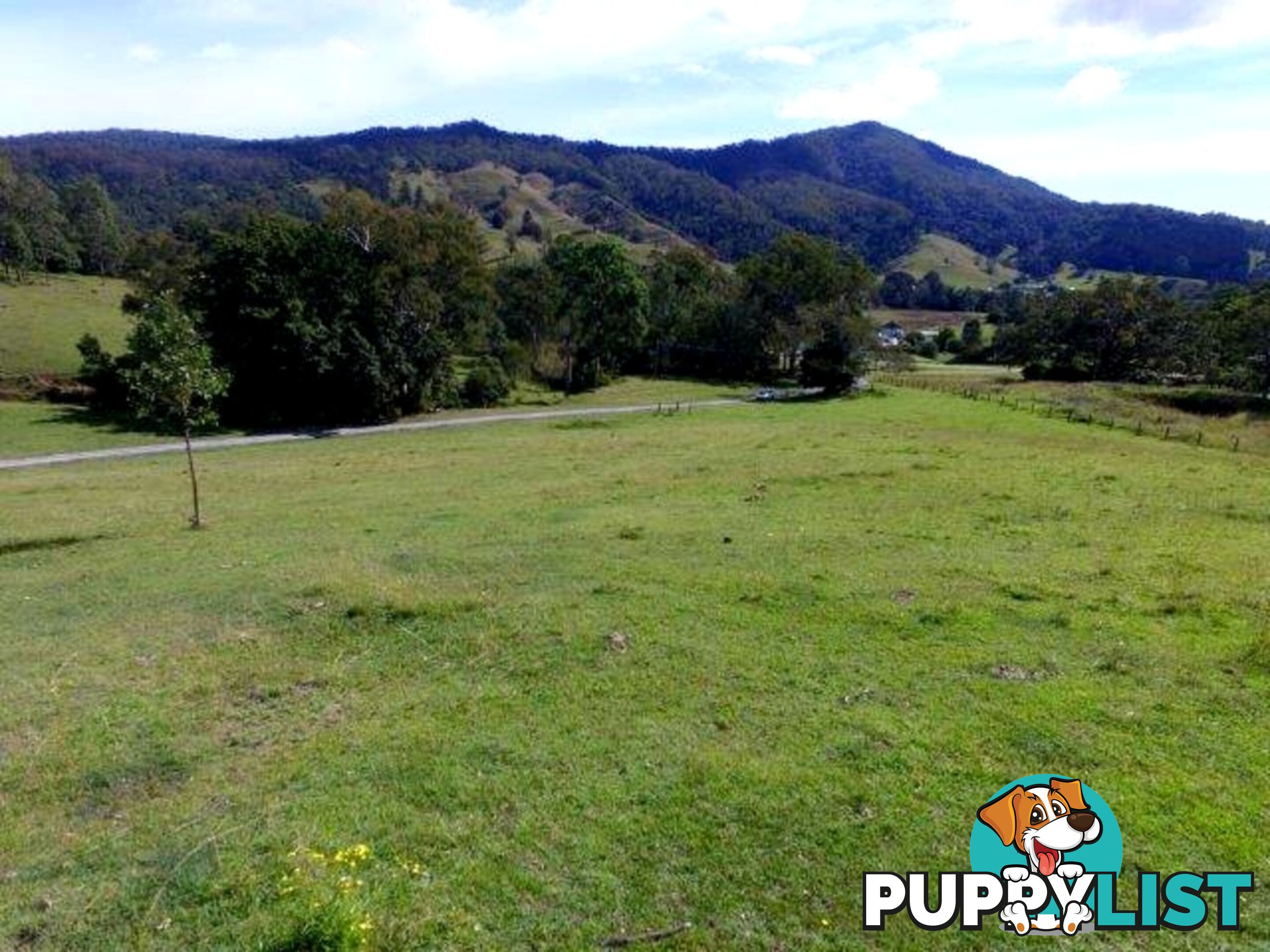 211 Lamington National Park Road CANUNGRA QLD 4275