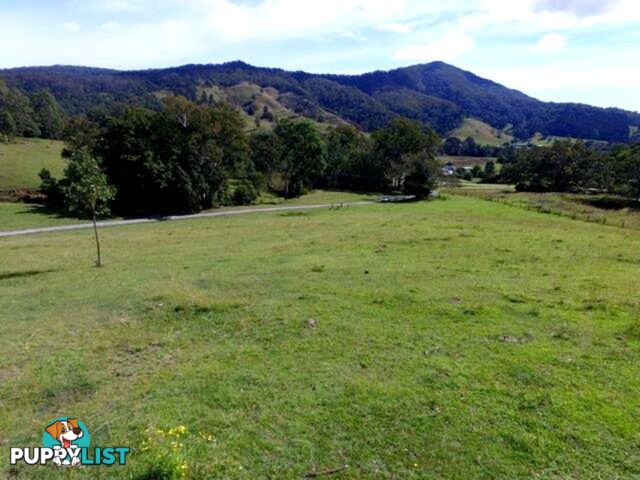 211 Lamington National Park Road CANUNGRA QLD 4275