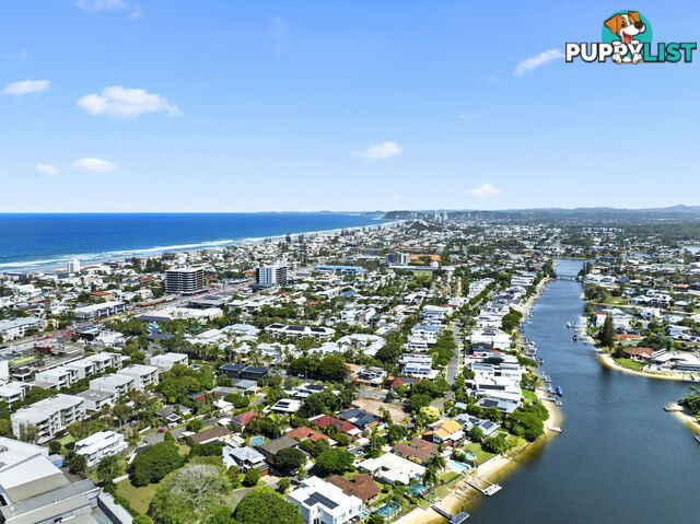 67 Avanti Street MERMAID WATERS QLD 4218