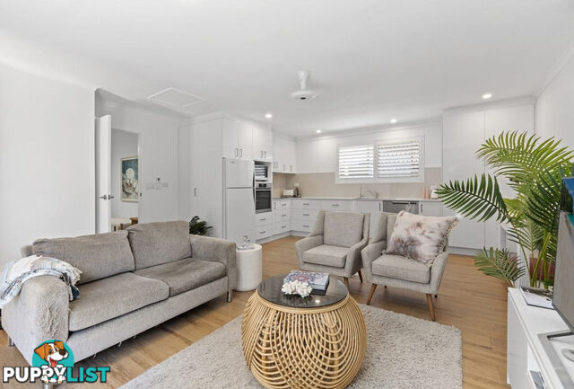 67 Avanti Street MERMAID WATERS QLD 4218