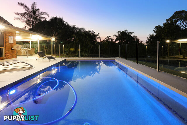 20 Gershwin Court NERANG QLD 4211