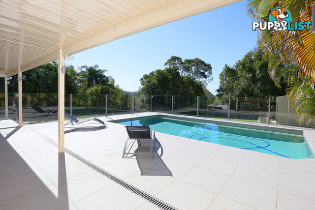 20 Gershwin Court NERANG QLD 4211