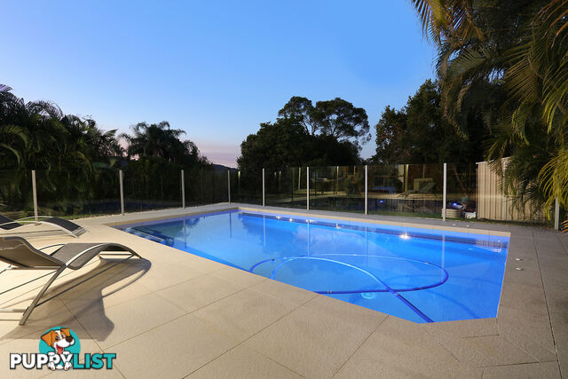 20 Gershwin Court NERANG QLD 4211