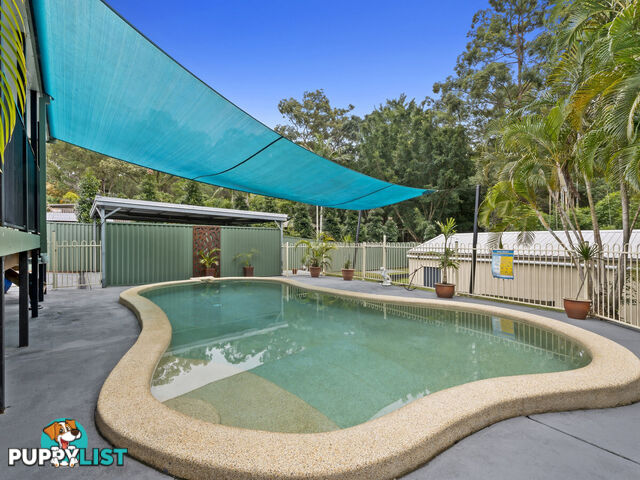 13 Chopin Court NERANG QLD 4211