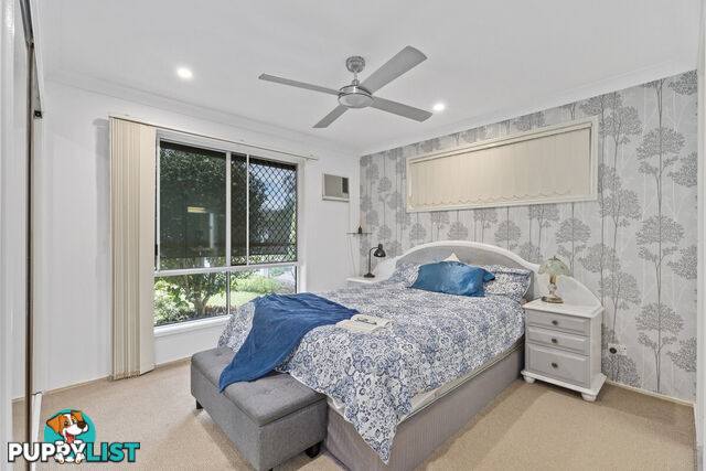 1 Rill Court NERANG QLD 4211