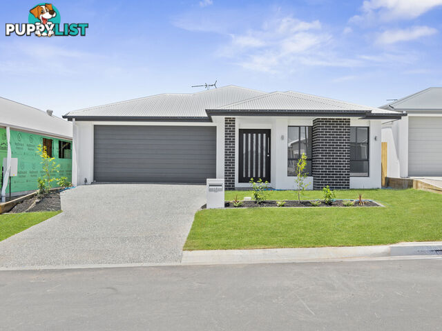 17 Sage Street GREENBANK QLD 4124