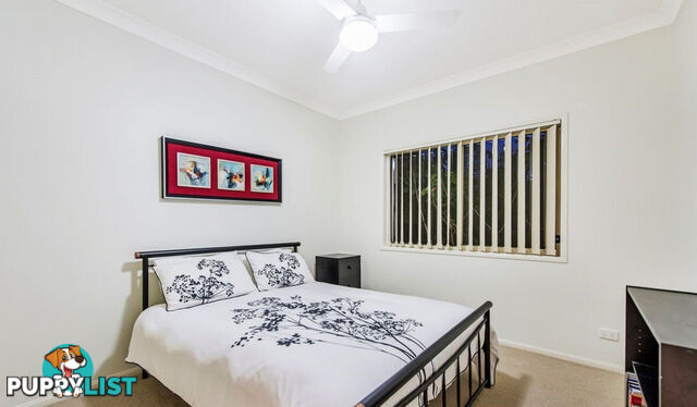 1/60 Freestone Drive UPPER COOMERA QLD 4209