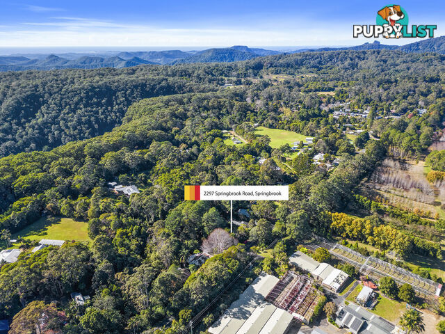 2297 Springbrook Road SPRINGBROOK QLD 4213