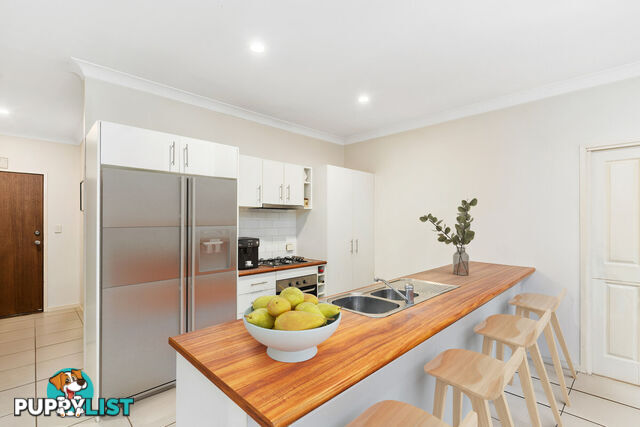 2297 Springbrook Road SPRINGBROOK QLD 4213