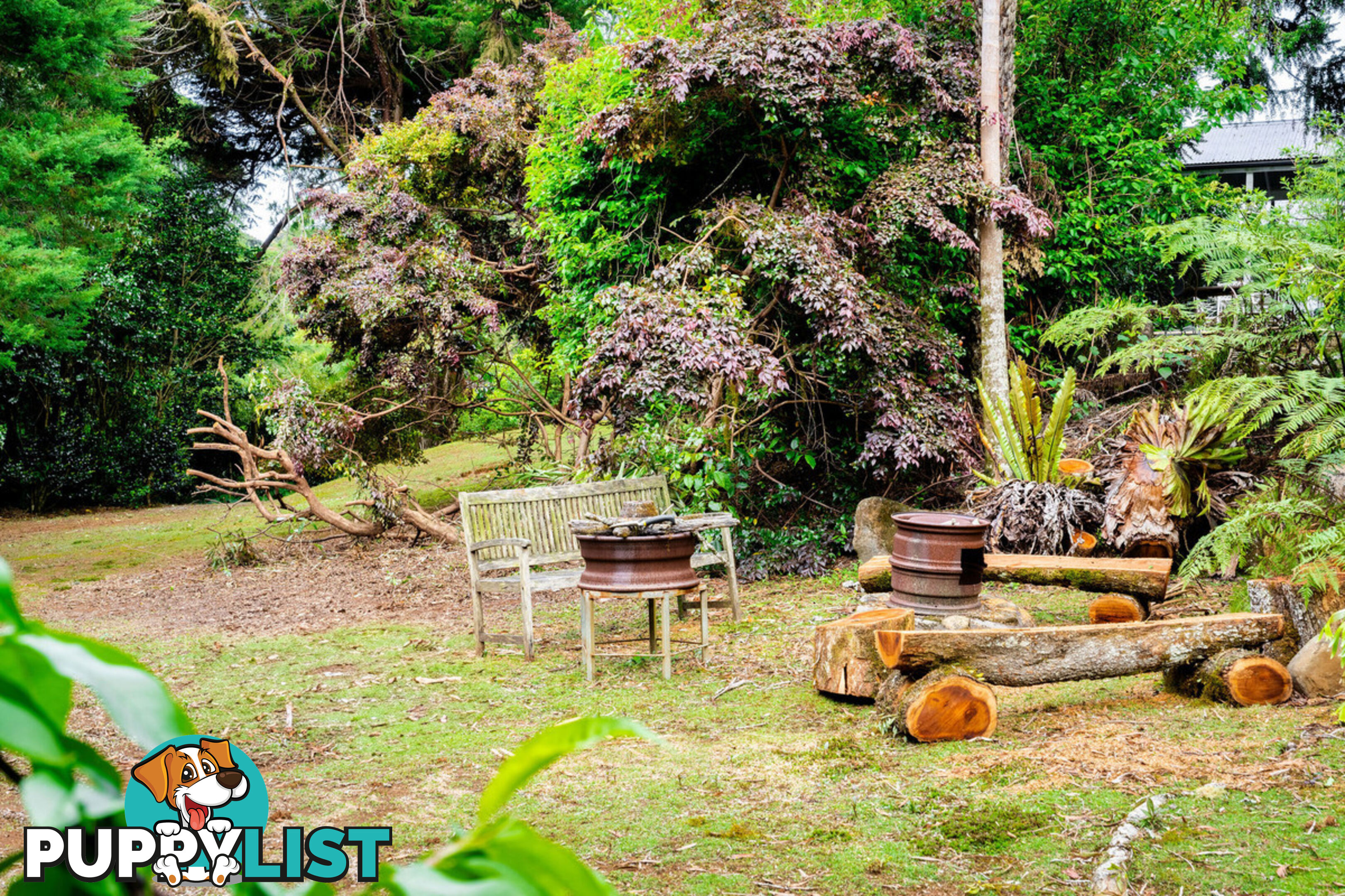 2874 Springbrook Road SPRINGBROOK QLD 4213