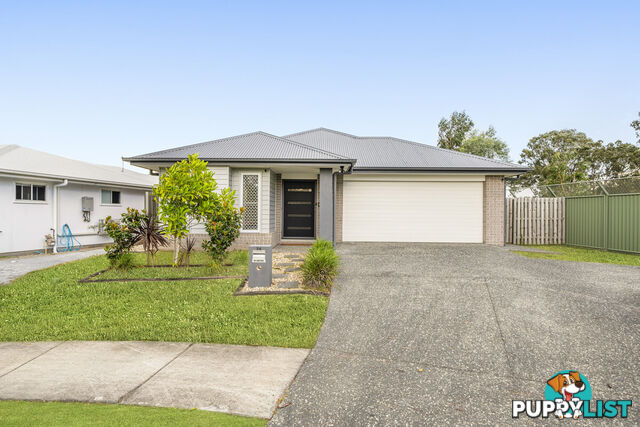 24 Dorchester Close PIMPAMA QLD 4209