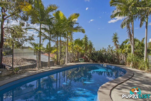 11 Moroccan Street HIGHLAND PARK QLD 4211