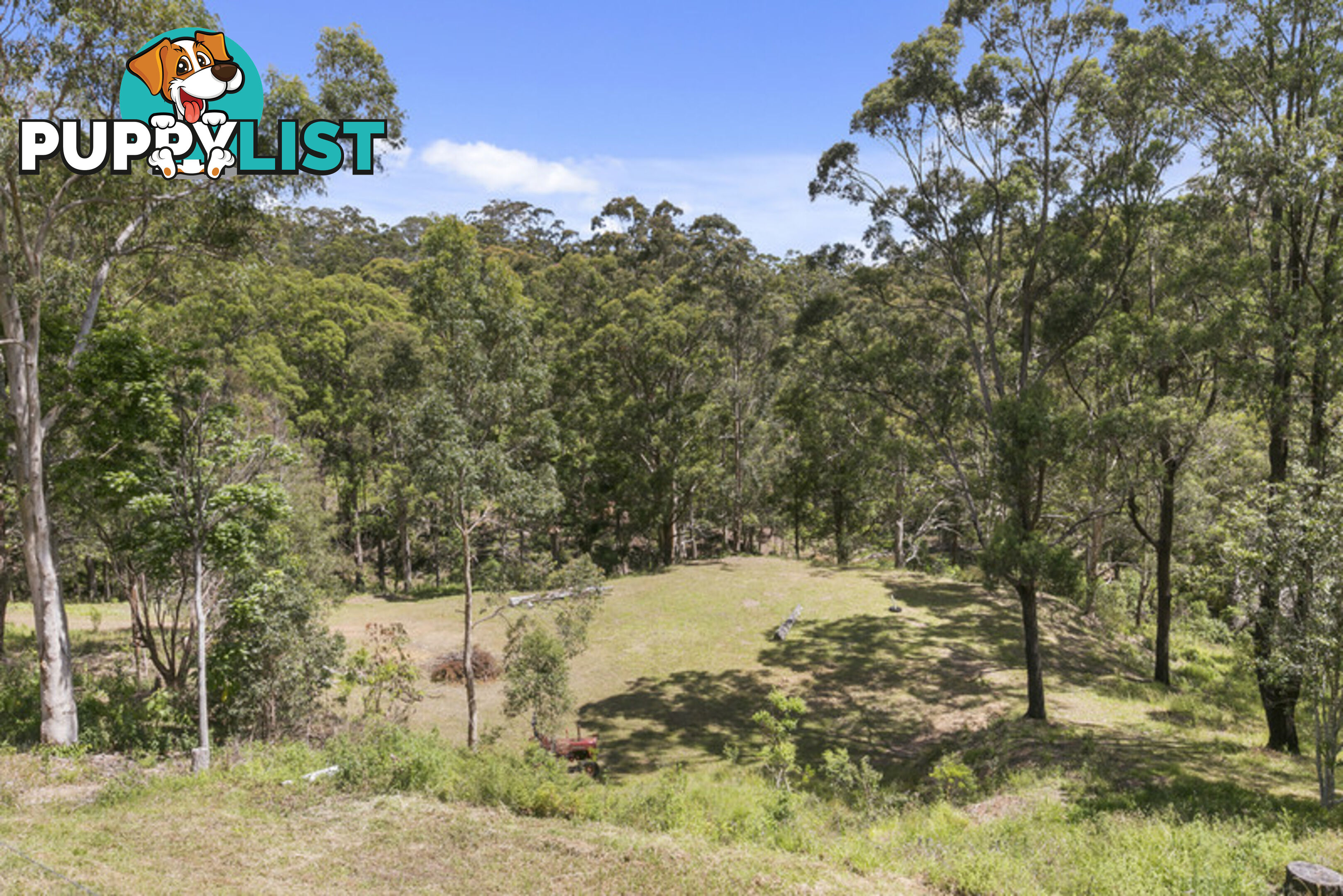 9 Elimbah Court Lower Beechmont QLD 4211