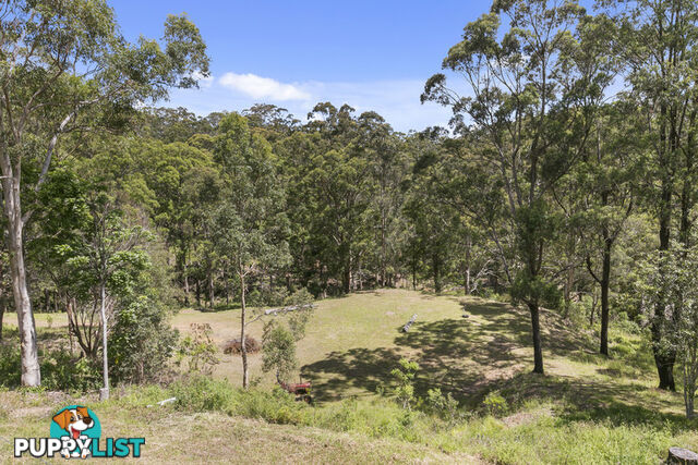 9 Elimbah Court Lower Beechmont QLD 4211